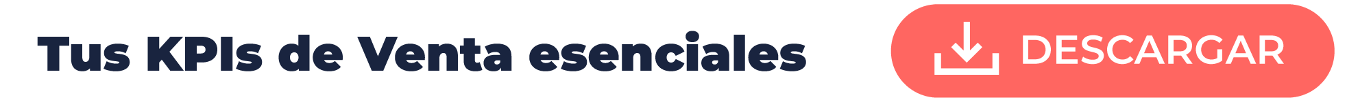Banner descarga KPIs esenciales 2024_01
